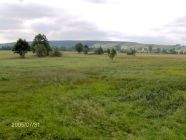 Previous image