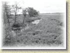 swkd_21_maj_077 * Na szlaku Pińczów-Umianowice * 2592 x 1944 * (2.26MB)